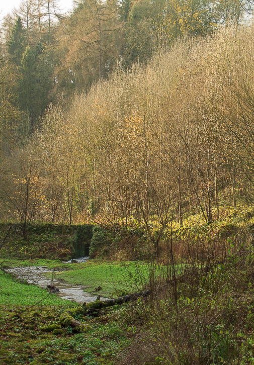 Bradford Dale Bradford Dale